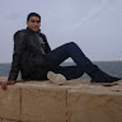 alaa mahmoud