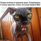 Алексей Семиренко