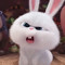 Zhen