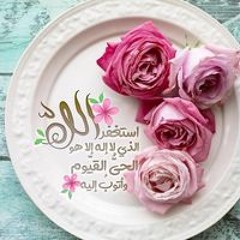 Malik Shazain