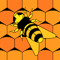 Bombus Harii