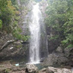 CM K