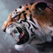 Eltiger 031