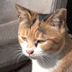にし