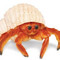 DoktorPustelnik