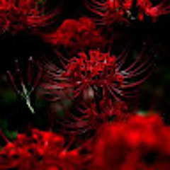 Evelynbrown0722