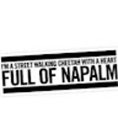 Liliana Nienałtowska