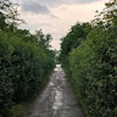 Rene Alejandro AmiCo