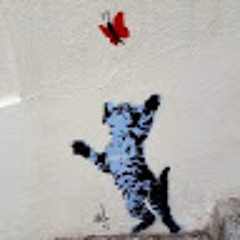 Kitty Kat