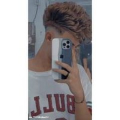 محمود مدحت ابو الشيخ