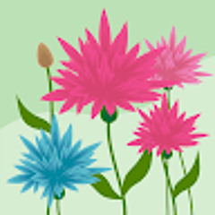 Patrícia Teles Carvalho