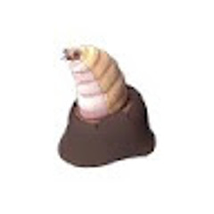 wormmiest wormm