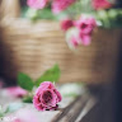 User 607701265
