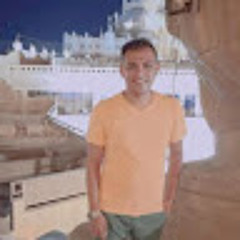 Mahmoud Amer