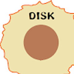 diskdisk 61