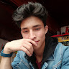 diego hernan gonzalez