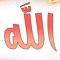 Ana Omar Ahmed