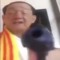 tung le