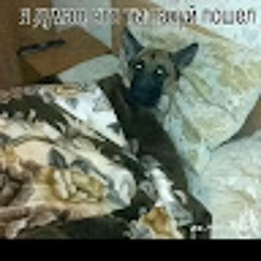 Артем Сухарев