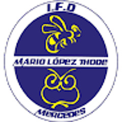 el estomago