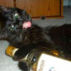 Drunk Kat
