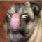 Littlebickmicke y