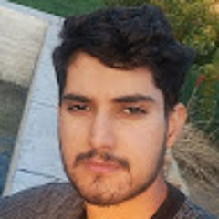 seyed ershad Hosseini