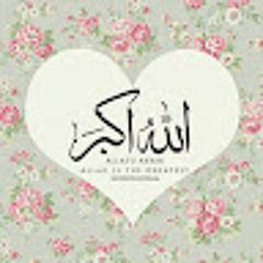 Hanan AboAlhassn