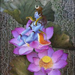 Akash Makaveli