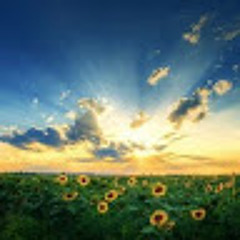 Abdullah Afaneh Afaneh)