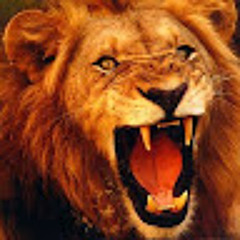 الاسد آبـوٌlισηـرآمـى