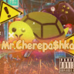 mr cherepashka