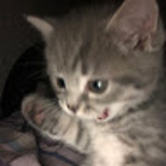 Ксенія Бакіна