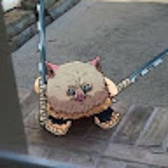 Алексей Дашкевич