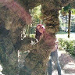 Elena Sanchez Lazaro