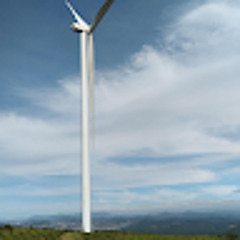 Cường Nguyễn Mạnh