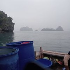 Bao Nguyen