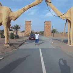 سعيد المجاهد