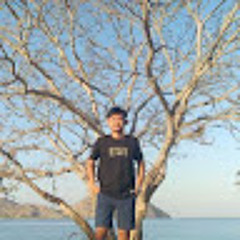 FEBRIANSYAH A.M