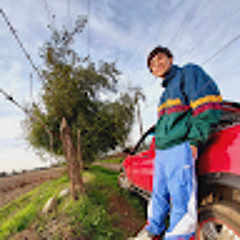 Diego Ortuya