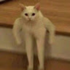 냐옹
