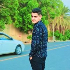 Sherif H Eldeeb