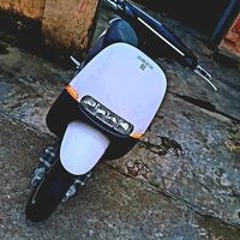 Họa Mi Cúc