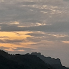 Tùng Nguyễn Đình