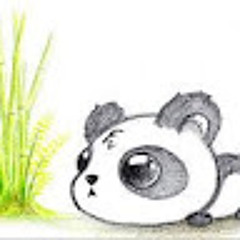 user405640689