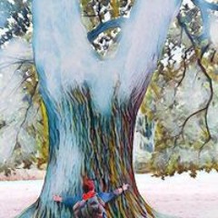 Nirtak Freiflugrecht