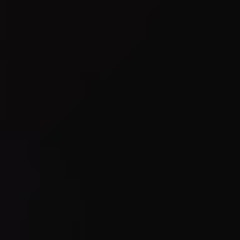 صالح القرني