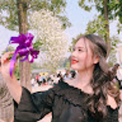 Hồng Ánh Nông Thị