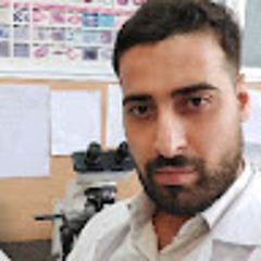 Amir pakan Samavati