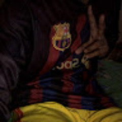 faelzinrs7